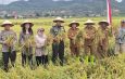 Dandim 0718/Pati bersama Bupati Pati Melaksanakan Panen raya dalam rangka 10 ton/Hektar dalam rangka mendukung swasembada pangan Ta. 2026